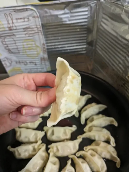 餃子の焼き目を見る