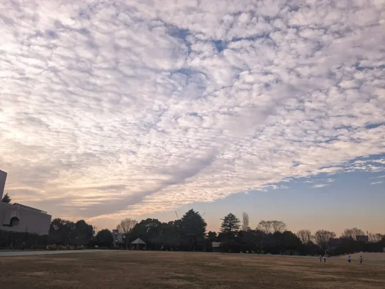 23区内の公園でスマホ撮影した夕暮れの空